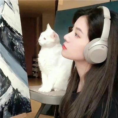 新狂人乐队